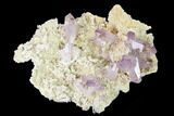 Pristine, Amethyst Crystal Cluster - Las Vigas, Mexico #165626-1
